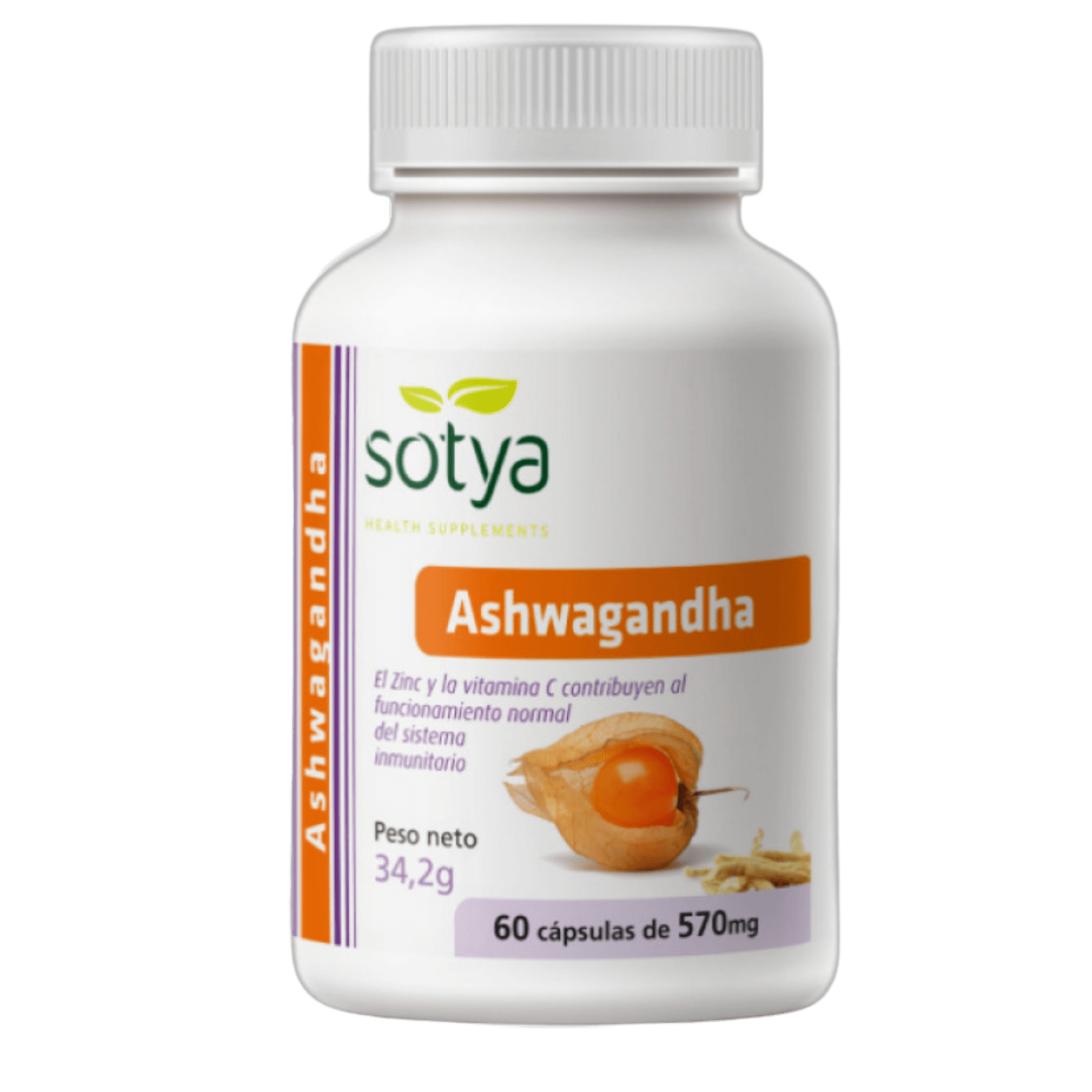 Design sans titre 28