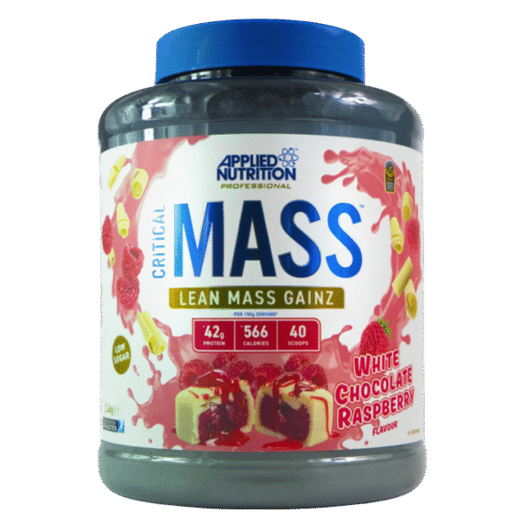 Design sans titre (70) Critical mass 2.4Kg